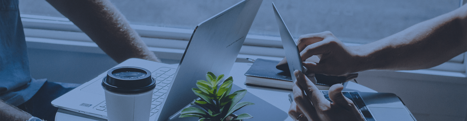 Stake(�й���)�ٷ���վ