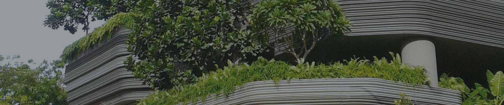 Stake(�й���)�ٷ���վ